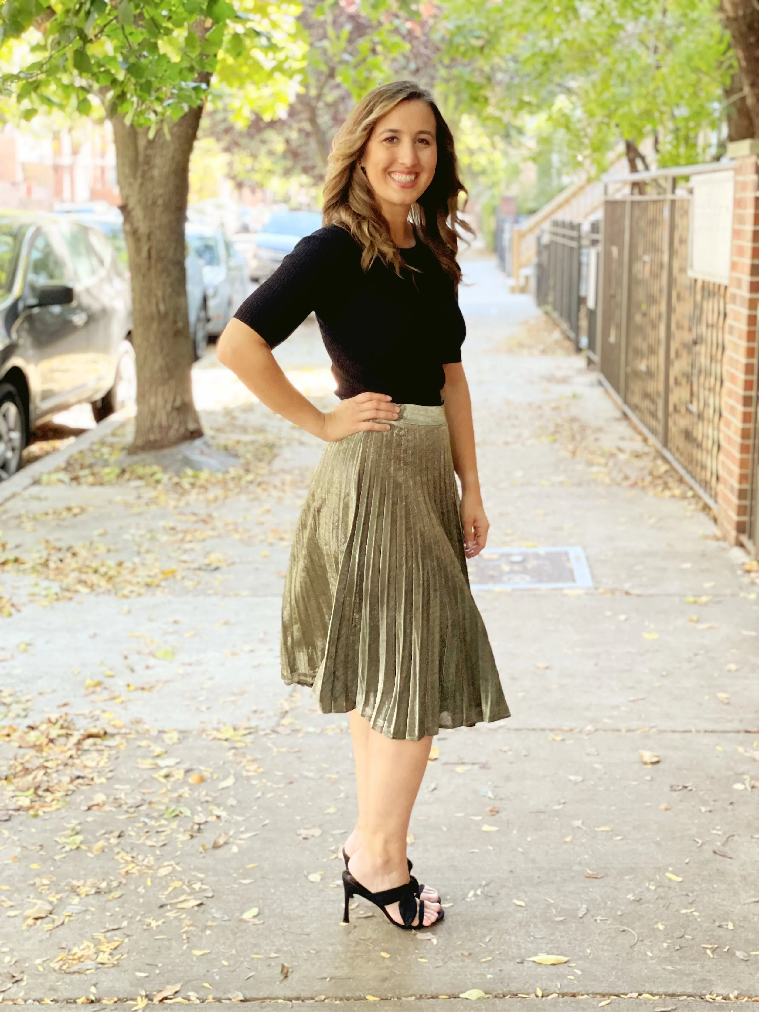 ALBANY Pleated Skirt