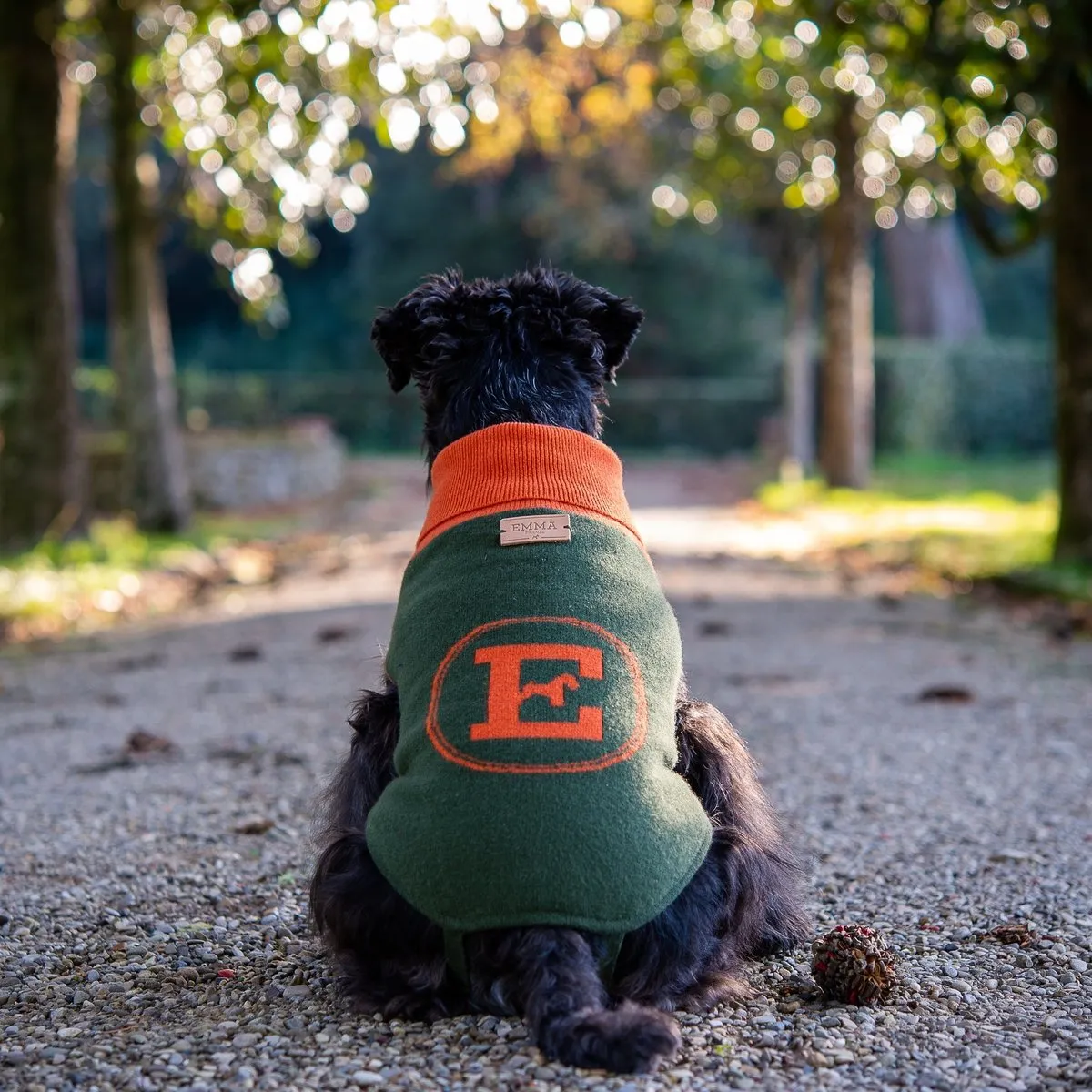 Bespoke Dog Sweater Green/Orange Cashmere