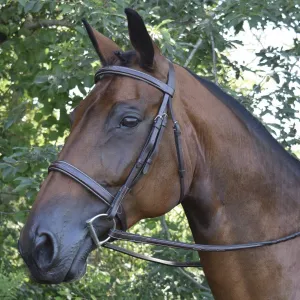 Black Oak 'Spruce' Hunter Bridle