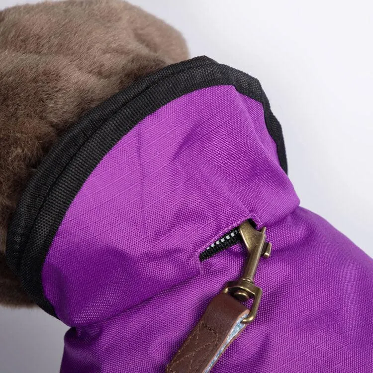 Danish Design - The Ultimate 2 in 1 Waterproof and Fleece Dog Coat - Purple