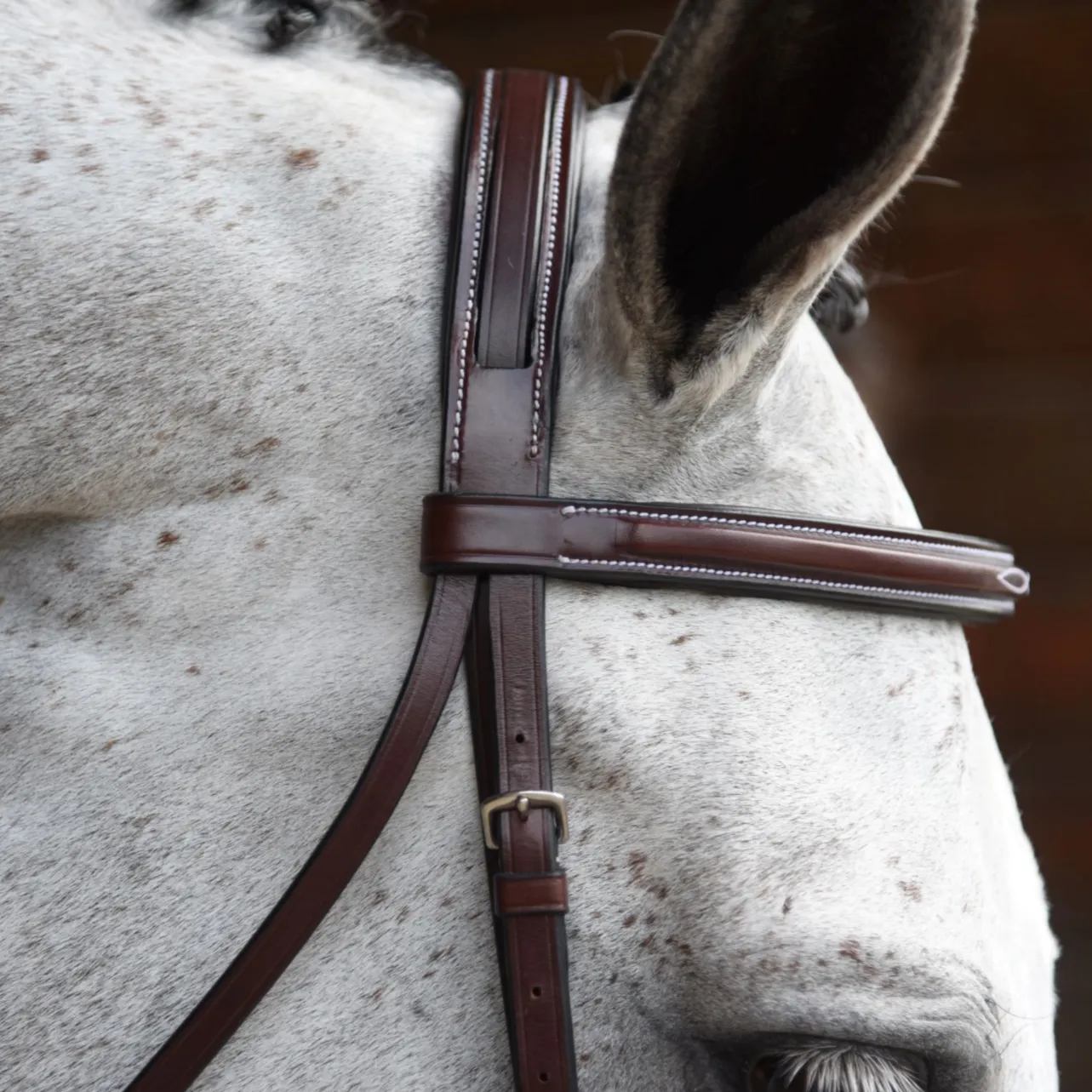 KL Italia Middleburg Hunter Bridle